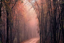 九游娱乐网页-安联堡垒再显神威？拜仁晋级背后的主场密码