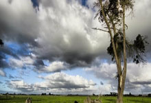 九游娱乐网页-利物浦新援首秀引期待，世俱杯表现备受关注