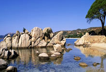 九游体育官方入口-帕尔梅拉斯防线协作提升，力求限制攻击