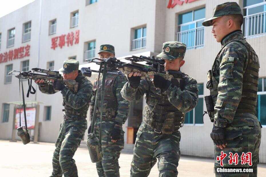 关于弓弩交错：射箭比赛上的强手相遇的信息