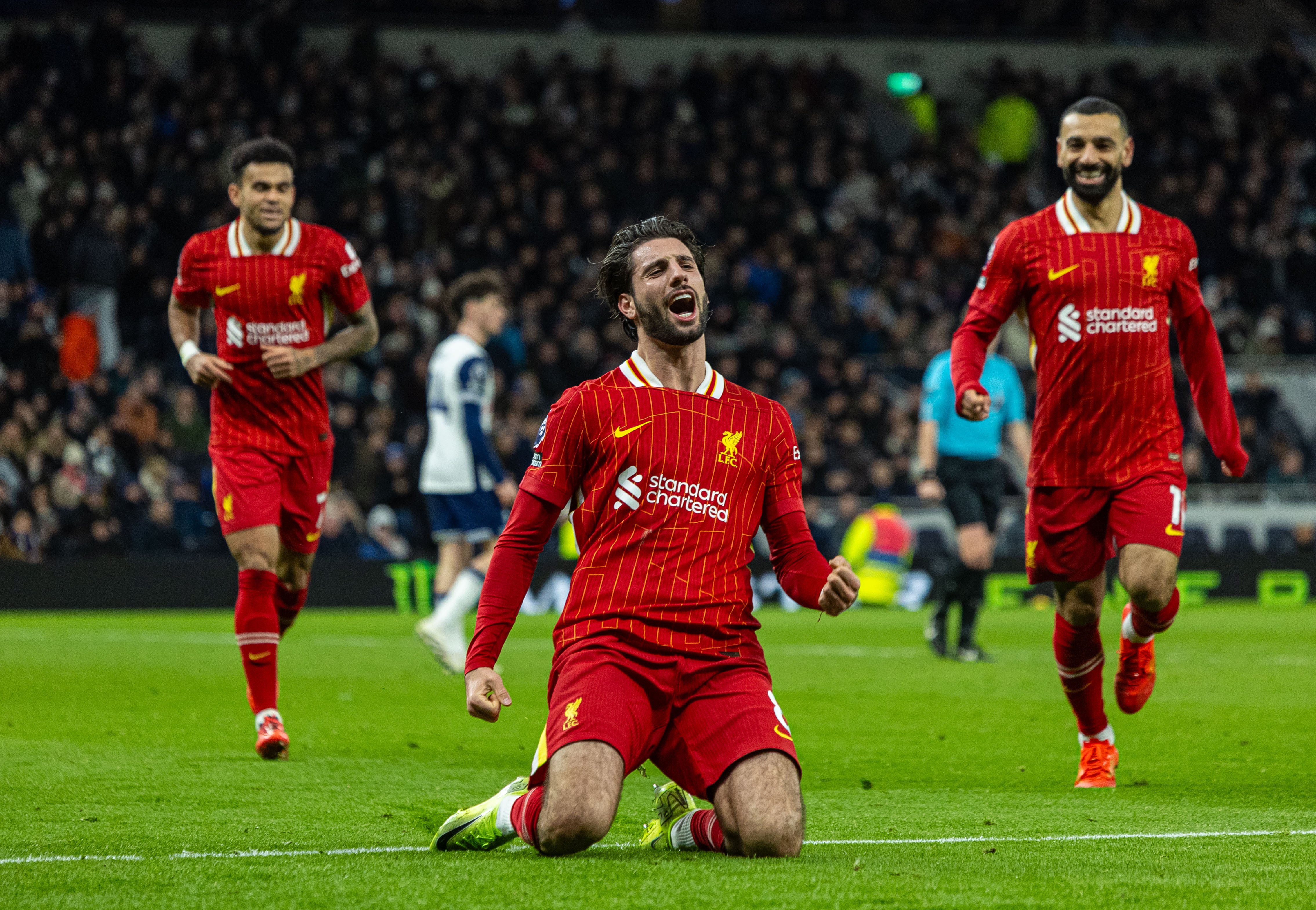 热刺大胜埃弗顿：热刺主场大捷的简单介绍