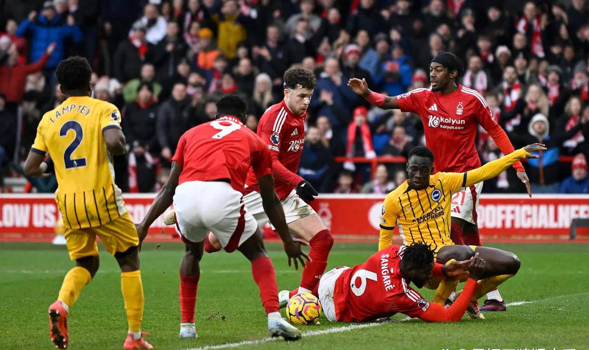 爱尔兰队欧预赛主场大获全胜，士气高昂