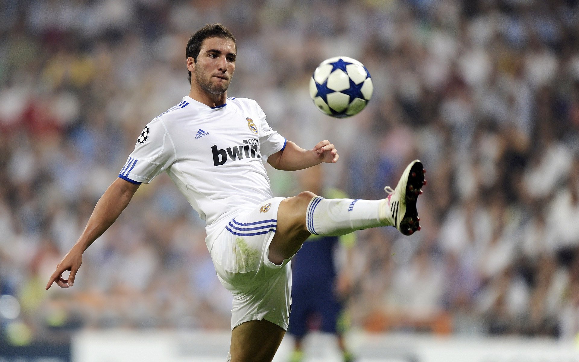 建议（三选一）